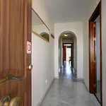 Sanpedro 4*